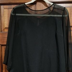 Black The Limited Sheer Blouse